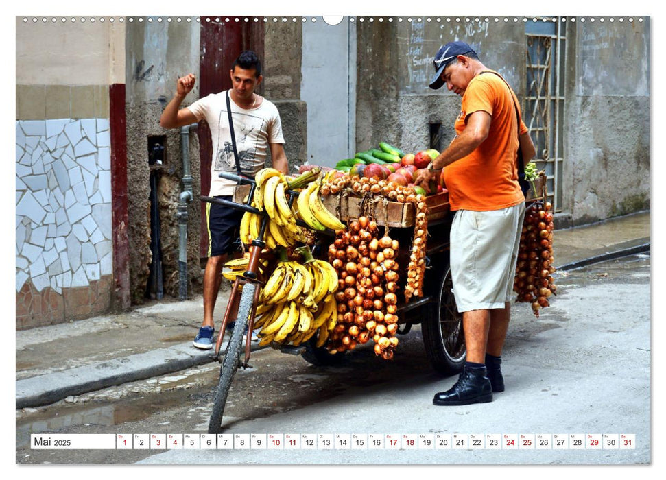 Alles Banane - Fliegende Händler und schwimmende Bananen auf Kuba (CALVENDO Premium Wandkalender 2025)