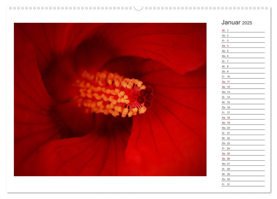 DEEP INSIDE - Blütenmakros als Monatsplaner (CALVENDO Premium Wandkalender 2025)
