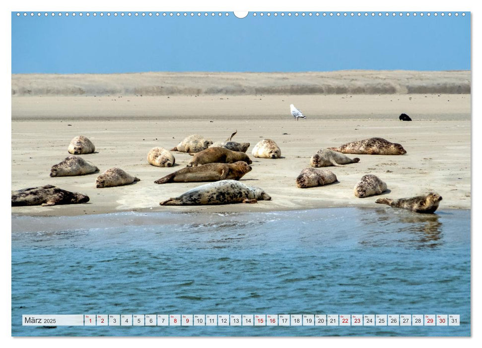 BORKUM-LIEBE (CALVENDO Premium Wandkalender 2025)