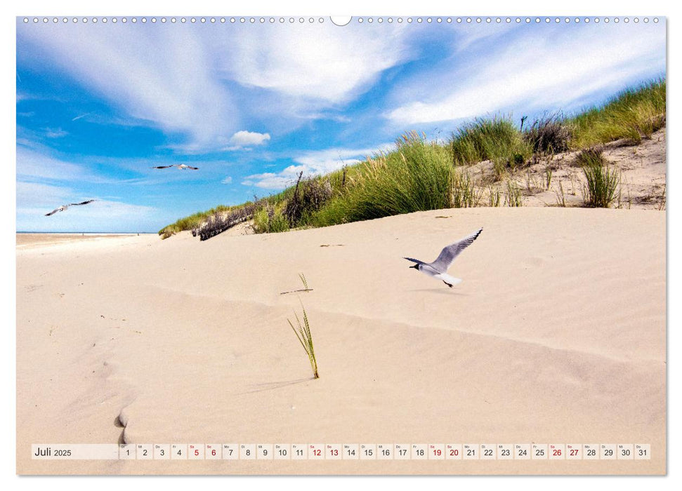 BORKUM-LIEBE (CALVENDO Premium Wandkalender 2025)