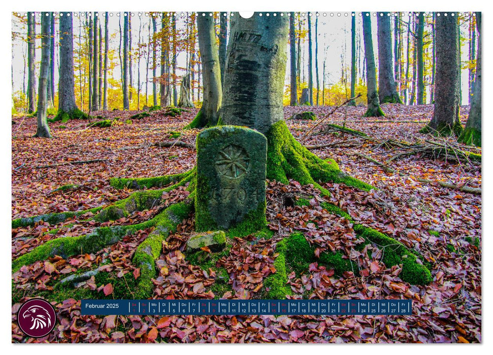 Zu Fuß durch Nordhessen - Unterwegs auf dem Habichtswaldsteig (CALVENDO Premium Wandkalender 2025)