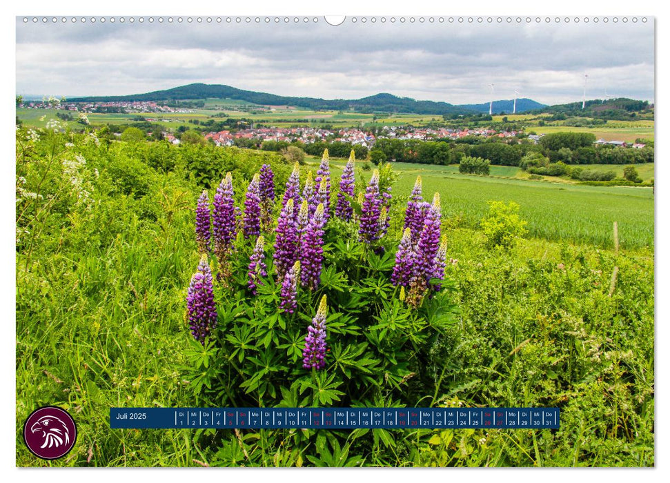 Zu Fuß durch Nordhessen - Unterwegs auf dem Habichtswaldsteig (CALVENDO Premium Wandkalender 2025)