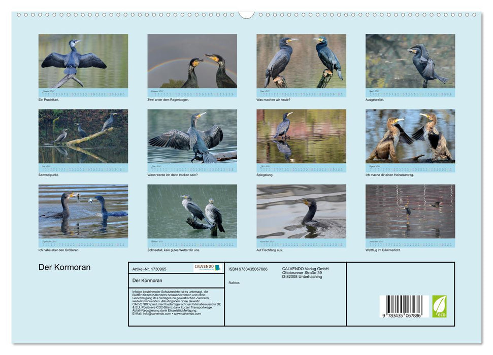 Der Kormoran (CALVENDO Premium Wandkalender 2025)