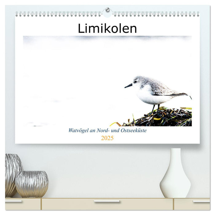 Limikolen - Watvögel an Nord- und Ostseeküste (CALVENDO Premium Wandkalender 2025)