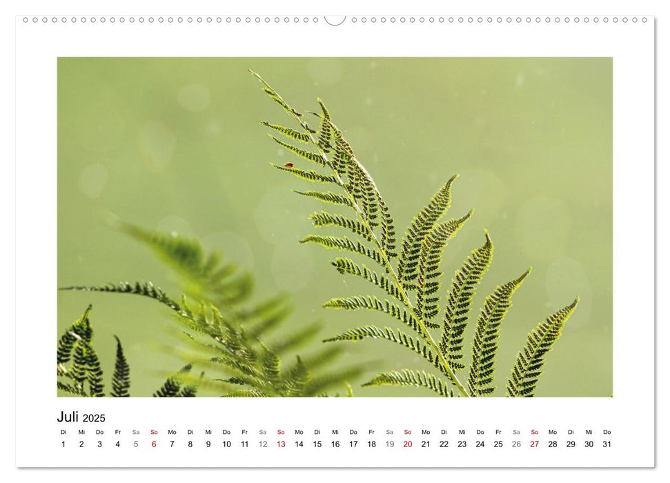 Mein Sehnsuchtsort, die Natur (CALVENDO Premium Wandkalender 2025)