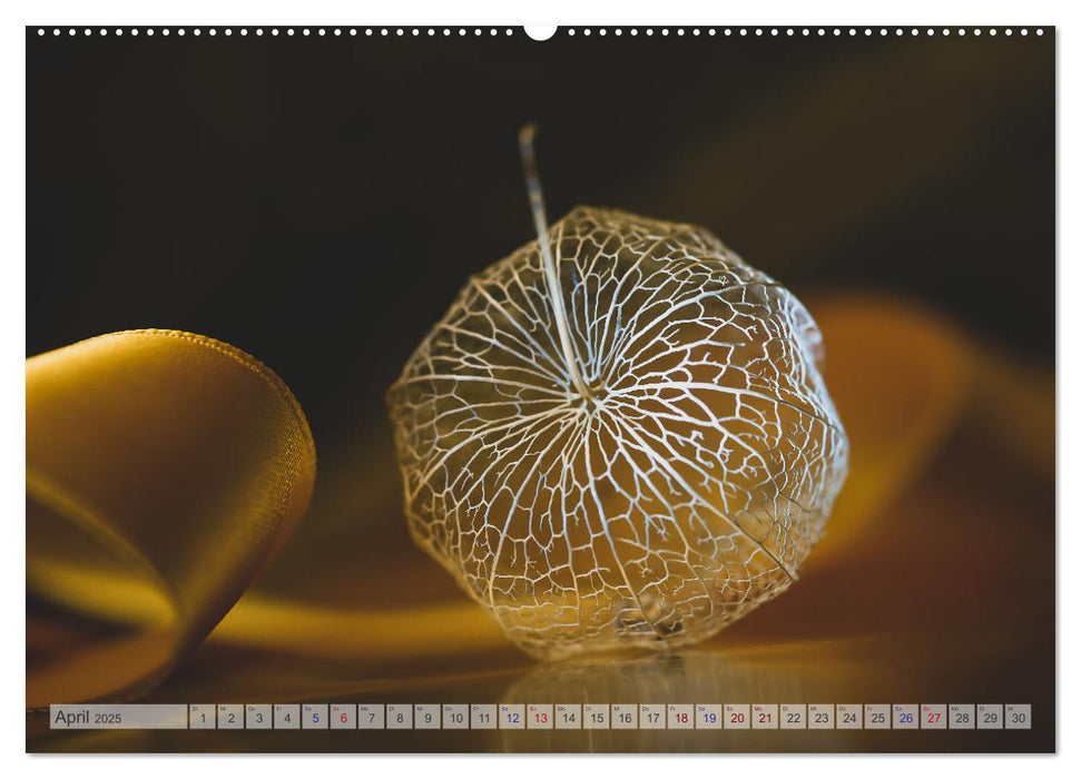 Kunstvolle Physalis-Kleine Frucht von großer Faszination (CALVENDO Wandkalender 2025)