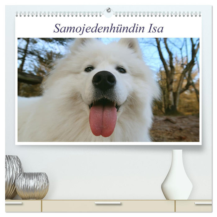 Samojedenhündin Isa (CALVENDO Premium Wandkalender 2025)