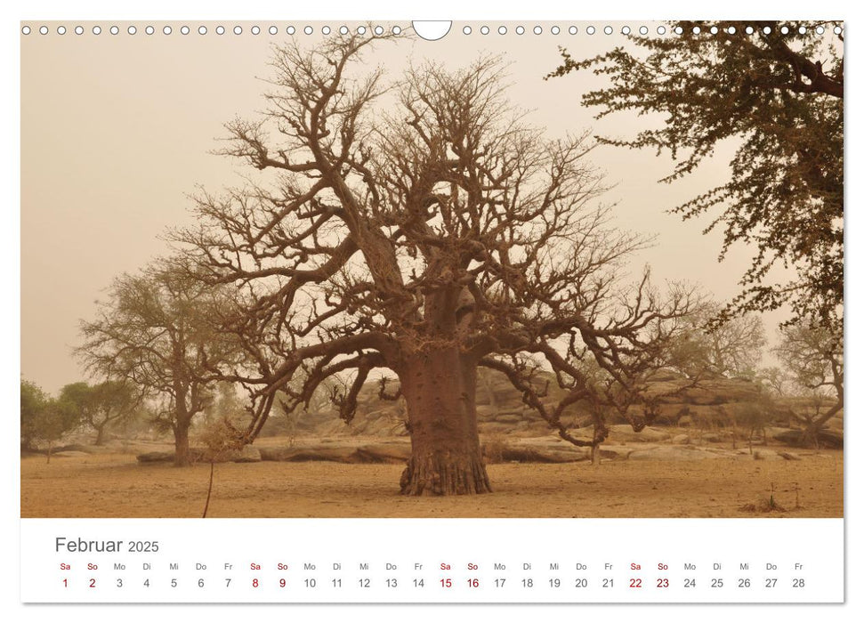 Mali - Dogonland - Weltkultur- und Weltnaturerbe (CALVENDO Wandkalender 2025)