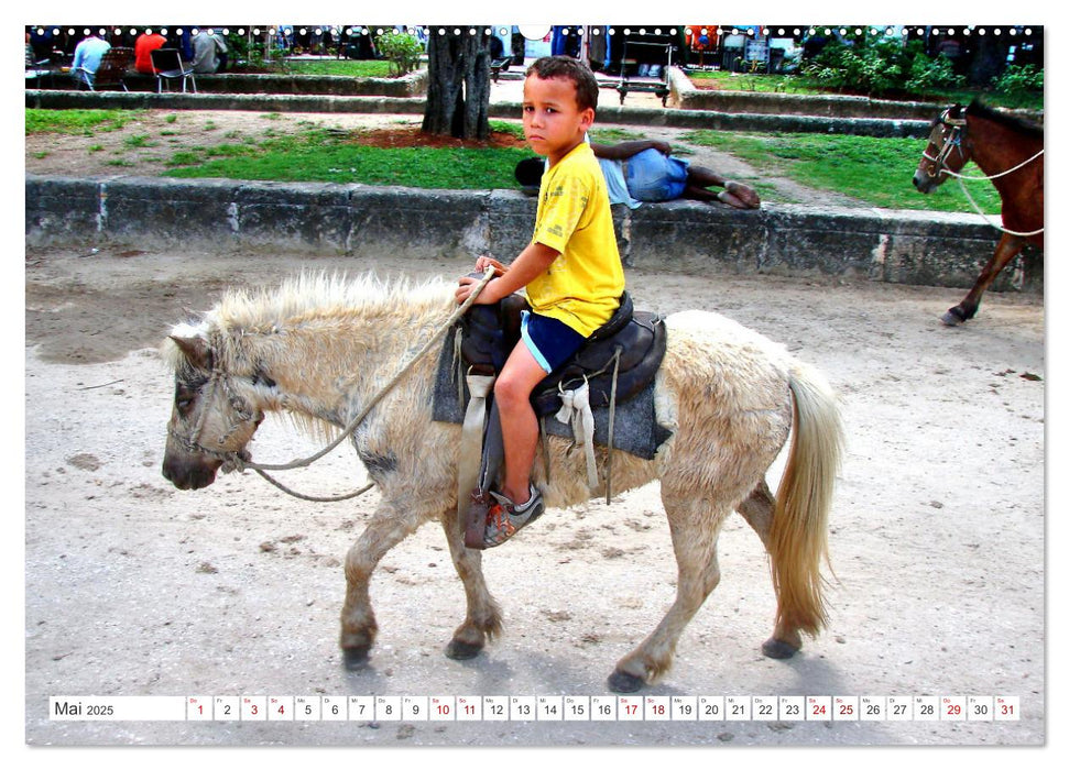 Tier-Kinder in Kuba - Begegnungen in Havanna (CALVENDO Premium Wandkalender 2025)