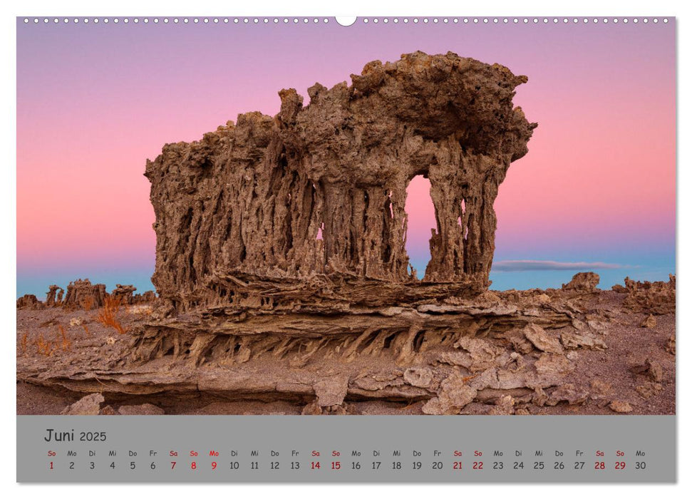 Versteinerte Landschaft (CALVENDO Premium Wandkalender 2025)