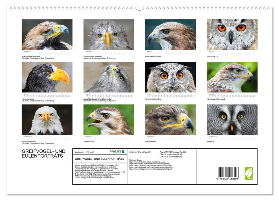 GREIFVOGEL- UND EULENPORTRÄTS (CALVENDO Premium Wandkalender 2025)