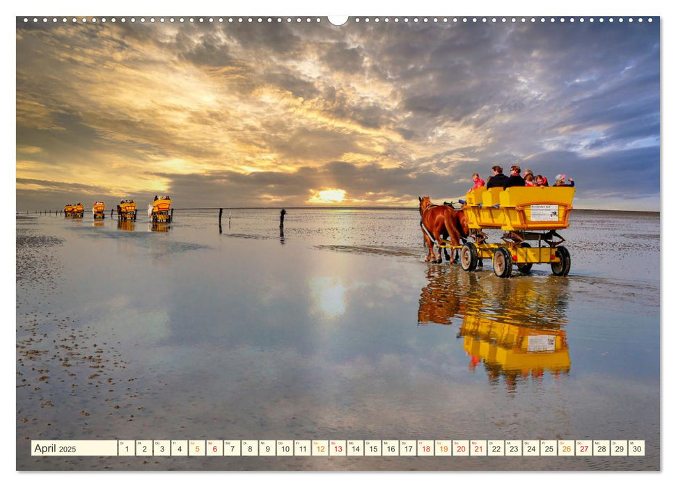 Geliebte Nordsee (CALVENDO Wandkalender 2025)