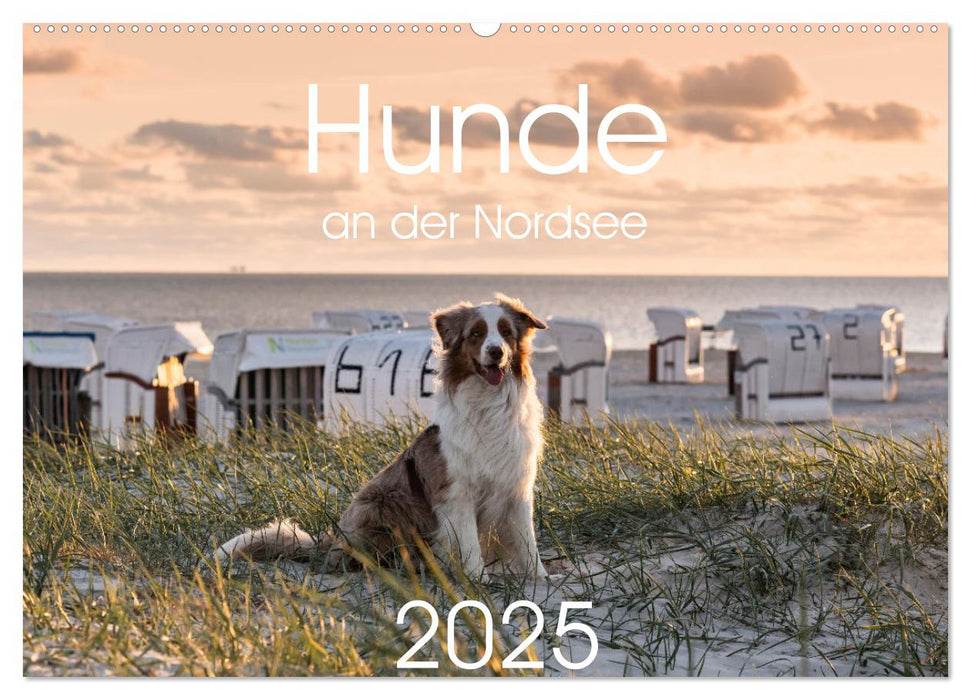 Hunde an der Nordsee (CALVENDO Wandkalender 2025)