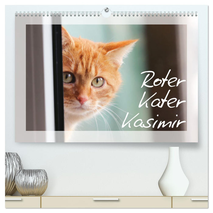 Roter Kater Kasimir (CALVENDO Premium Wandkalender 2025)