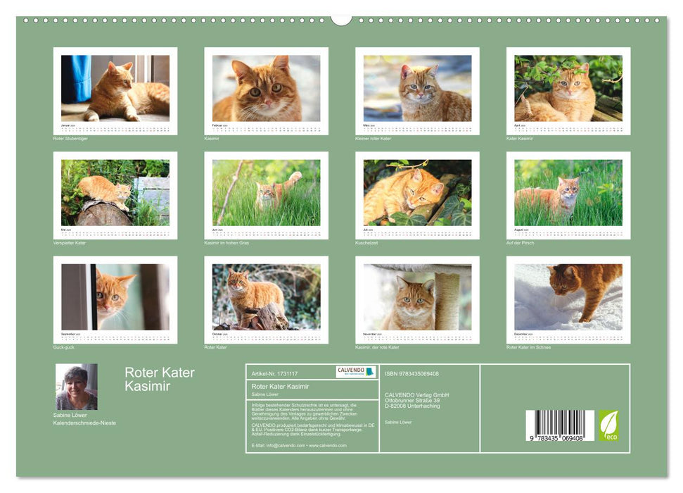 Roter Kater Kasimir (CALVENDO Premium Wandkalender 2025)