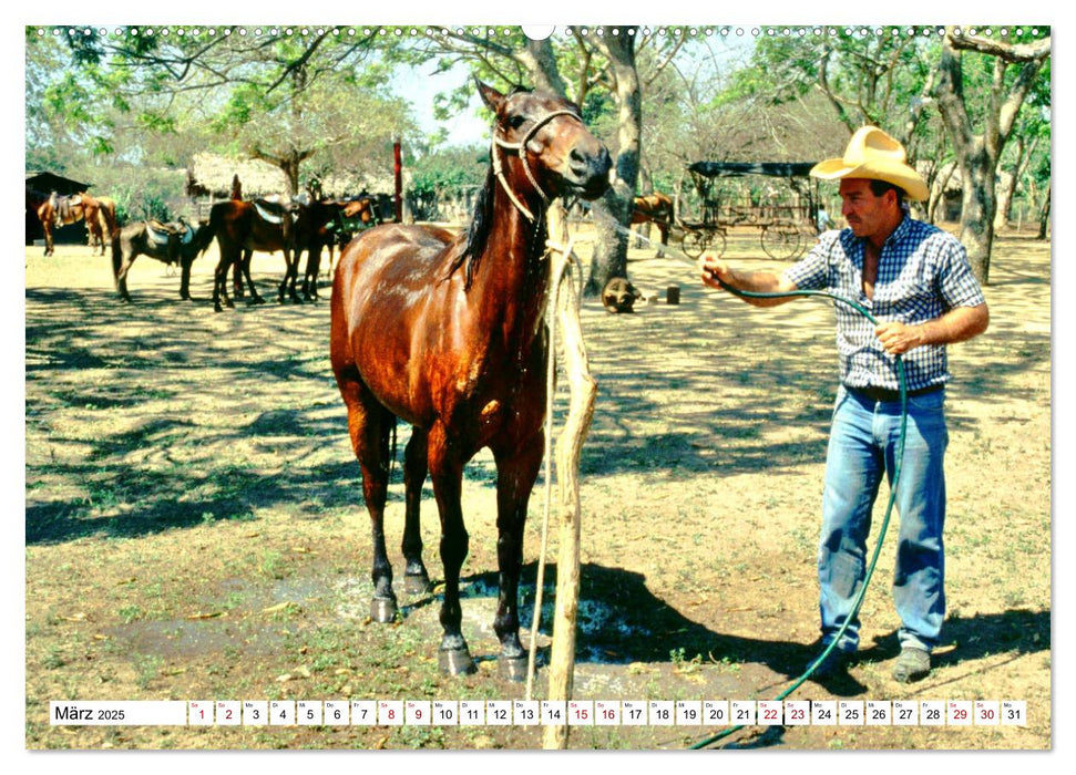 Cuba Cowboys - Wildwest in der Karibik (CALVENDO Wandkalender 2025)