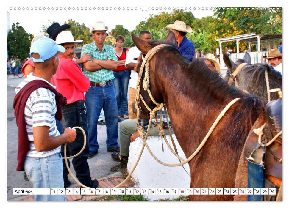 Cuba Cowboys - Wildwest in der Karibik (CALVENDO Wandkalender 2025)