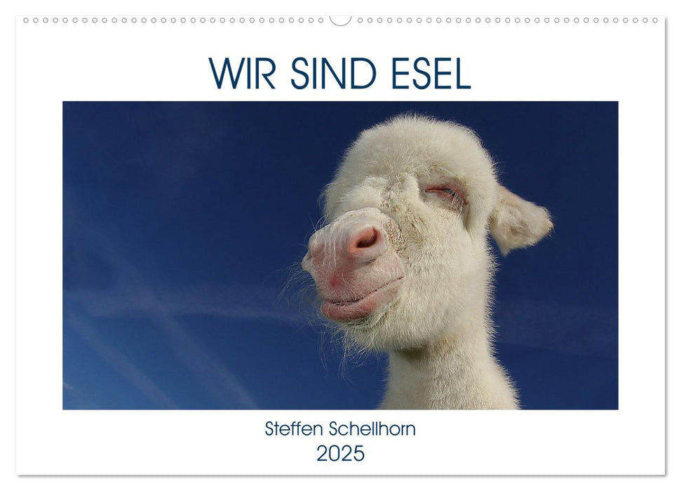 WIR SIND ESEL (CALVENDO Wandkalender 2025)