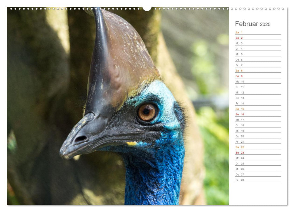 Die einzigartige Tierwelt von Australien (CALVENDO Premium Wandkalender 2025)