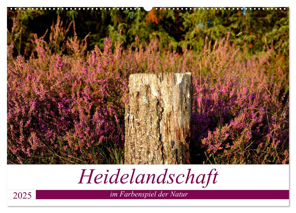 Heidelandschaft im Farbenspiel der Natur (CALVENDO Wandkalender 2025)