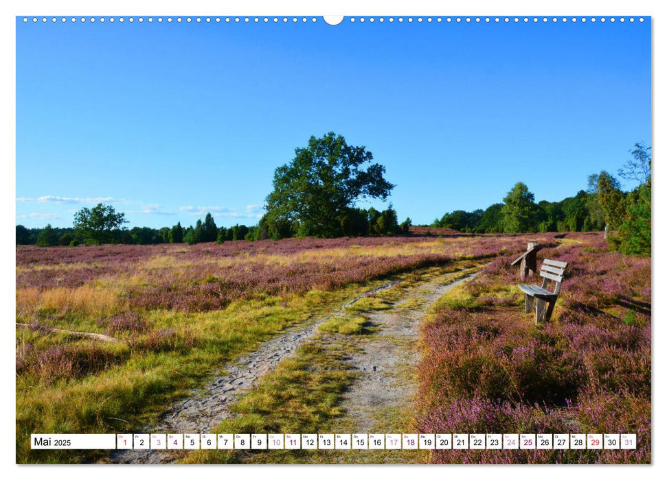 Heidelandschaft im Farbenspiel der Natur (CALVENDO Wandkalender 2025)