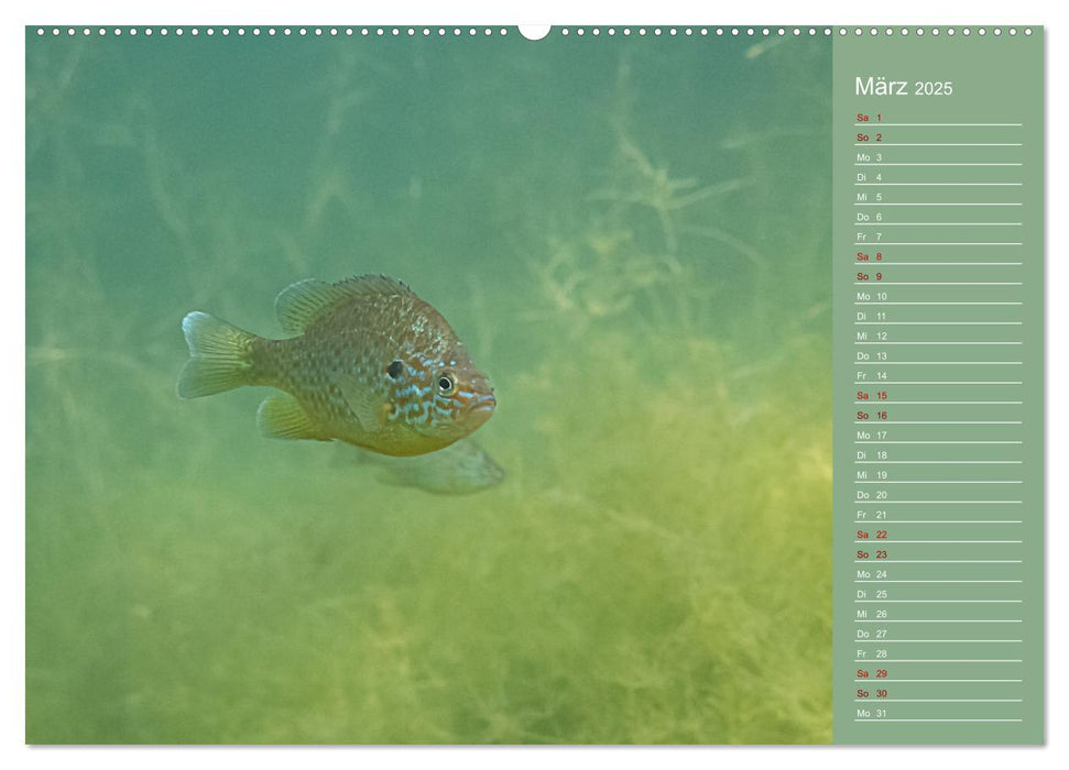 Baggersee -hautah (CALVENDO Premium Wandkalender 2025)