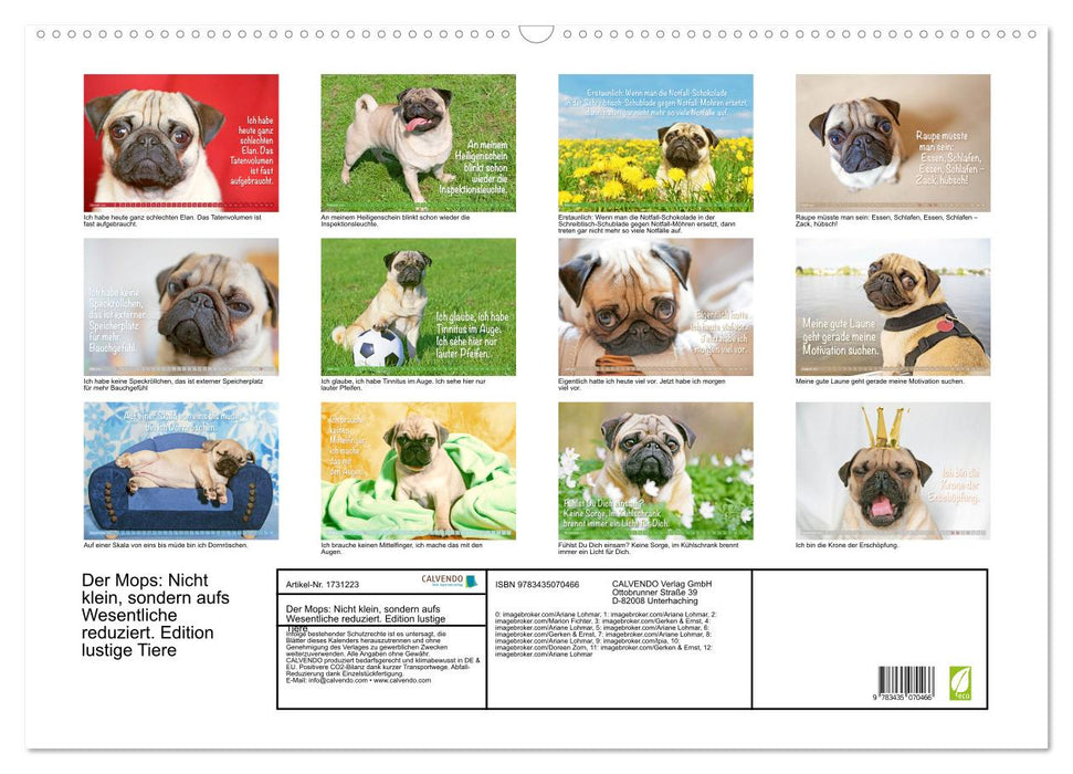 Der Mops: Nicht klein, sondern aufs Wesentliche reduziert. Edition lustige Tiere (CALVENDO Wandkalender 2025)