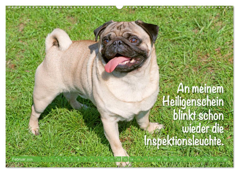 Der Mops: Nicht klein, sondern aufs Wesentliche reduziert. Edition lustige Tiere (CALVENDO Wandkalender 2025)