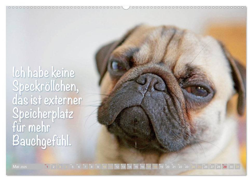 Der Mops: Nicht klein, sondern aufs Wesentliche reduziert. Edition lustige Tiere (CALVENDO Wandkalender 2025)