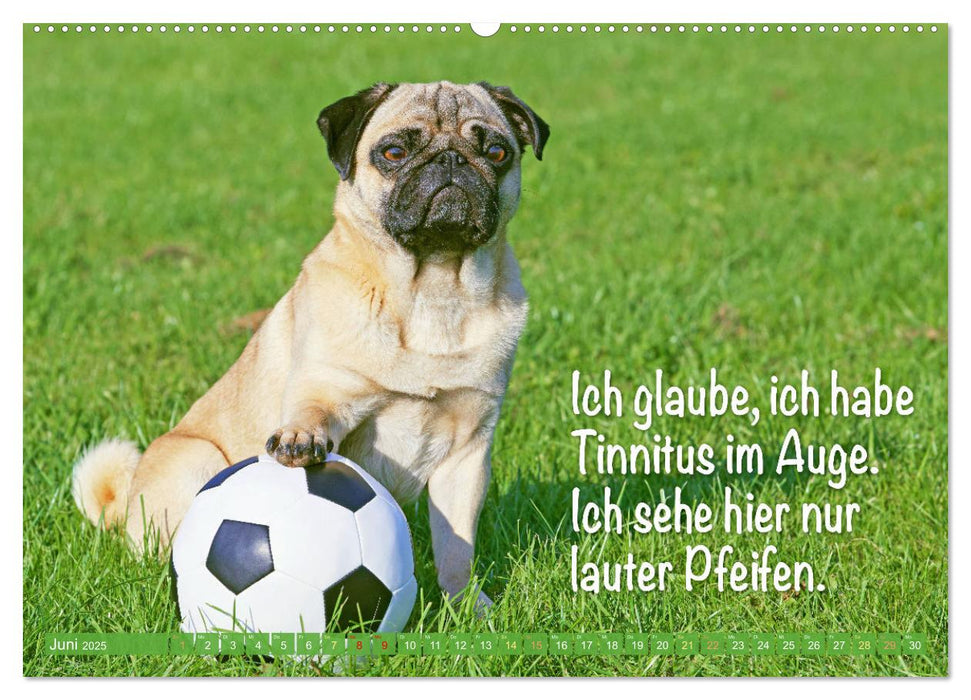 Der Mops: Nicht klein, sondern aufs Wesentliche reduziert. Edition lustige Tiere (CALVENDO Wandkalender 2025)