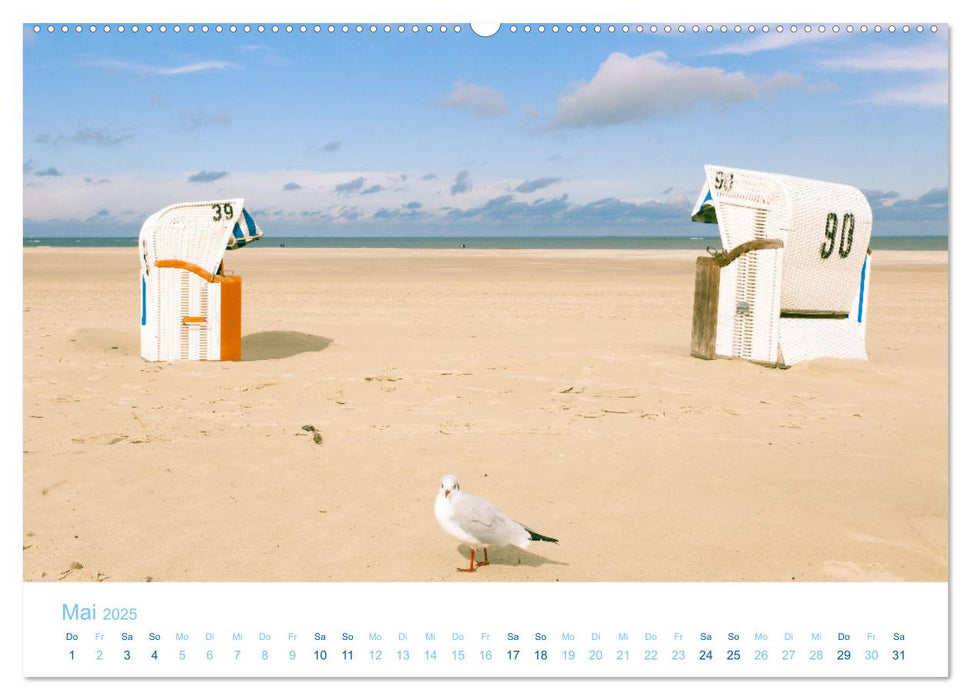 Mehr Nordsee (CALVENDO Wandkalender 2025)