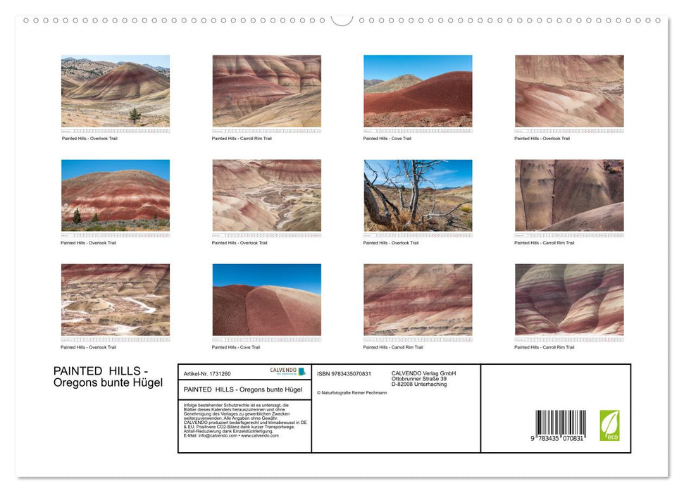 PAINTED HILLS - Oregons bunte Hügel (CALVENDO Premium Wandkalender 2025)