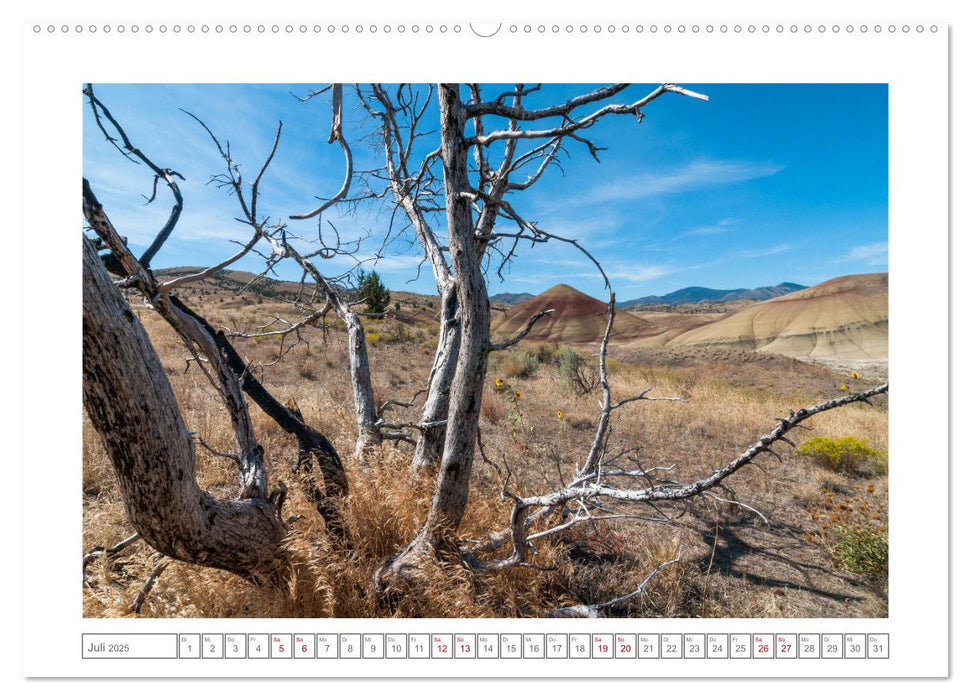 PAINTED HILLS - Oregons bunte Hügel (CALVENDO Premium Wandkalender 2025)