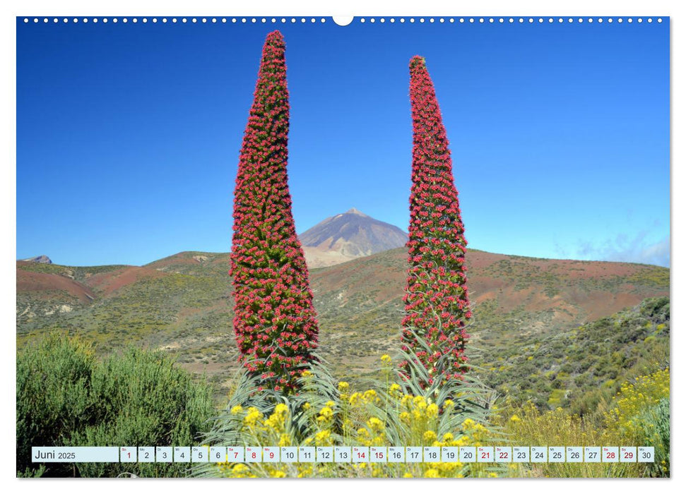 Teneriffa - Insel der Glückseligen (CALVENDO Premium Wandkalender 2025)