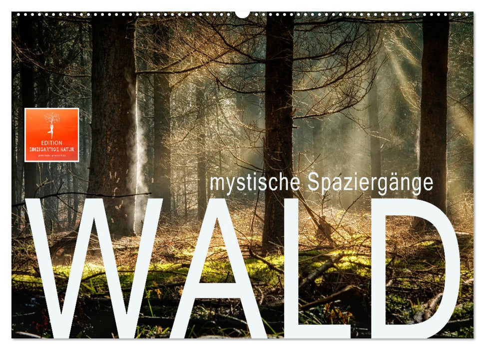 Wald - mystische Spaziergänge (CALVENDO Wandkalender 2025)