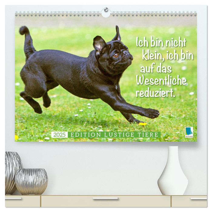 Der Mops: Nicht klein, sondern aufs Wesentliche reduziert. Edition lustige Tiere (CALVENDO Premium Wandkalender 2025)