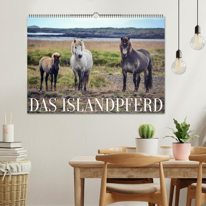 Das Islandpferd (CALVENDO Wandkalender 2025)