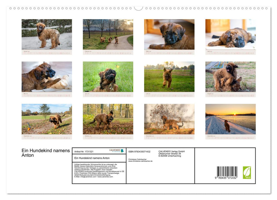 Ein Hundekind namens Anton (CALVENDO Premium Wandkalender 2025)