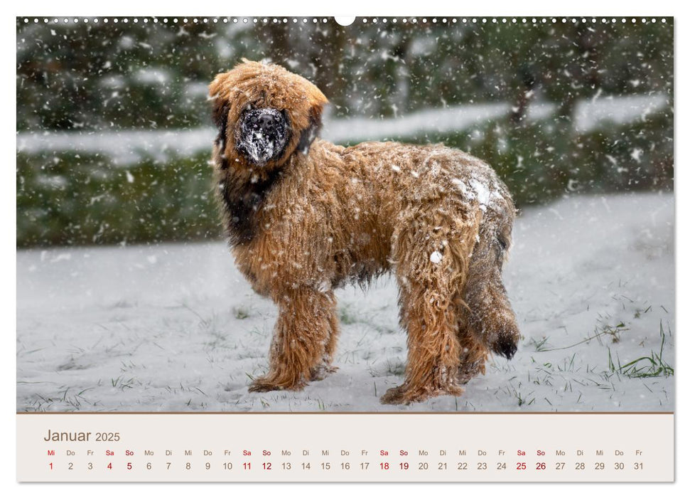 Ein Hundekind namens Anton (CALVENDO Premium Wandkalender 2025)