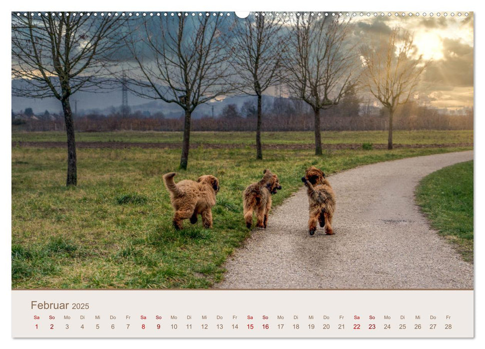 Ein Hundekind namens Anton (CALVENDO Premium Wandkalender 2025)