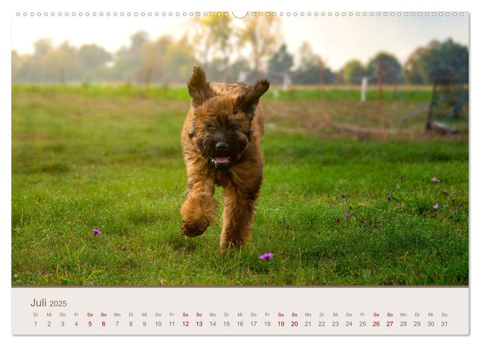 Ein Hundekind namens Anton (CALVENDO Premium Wandkalender 2025)