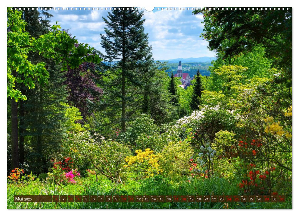 Kamenz - Kultur und Natur erleben und genießen (CALVENDO Premium Wandkalender 2025)