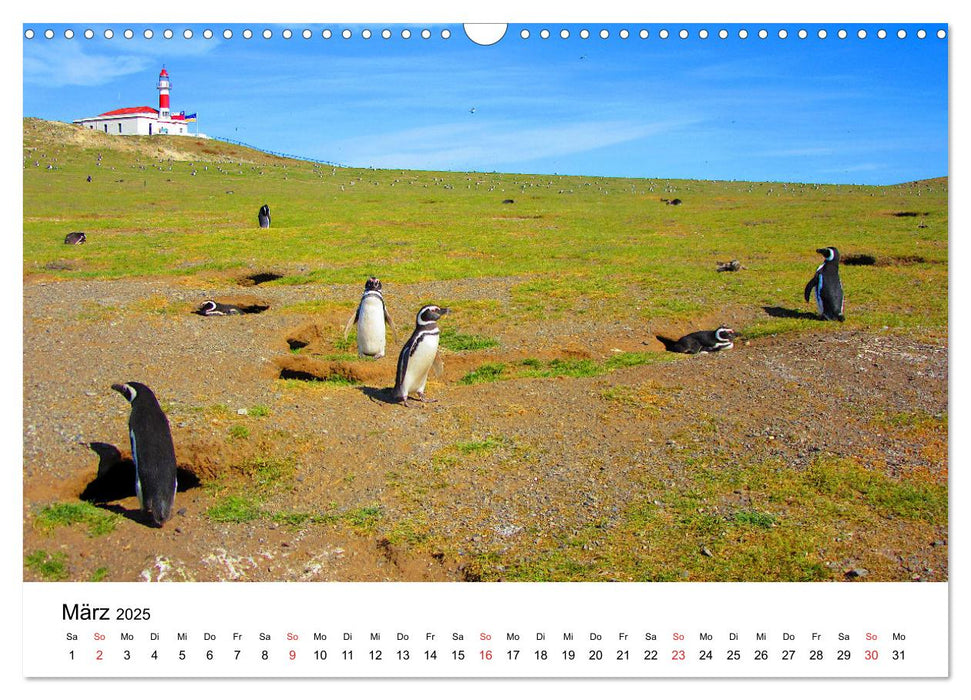 Patagonien - Atemberaubende Landschaften am Ende der Welt (CALVENDO Wandkalender 2025)