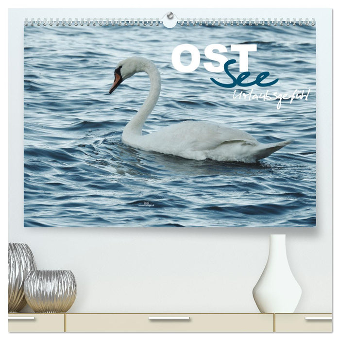 Ostsee - Urlaubsgefühl (CALVENDO Premium Wandkalender 2025)