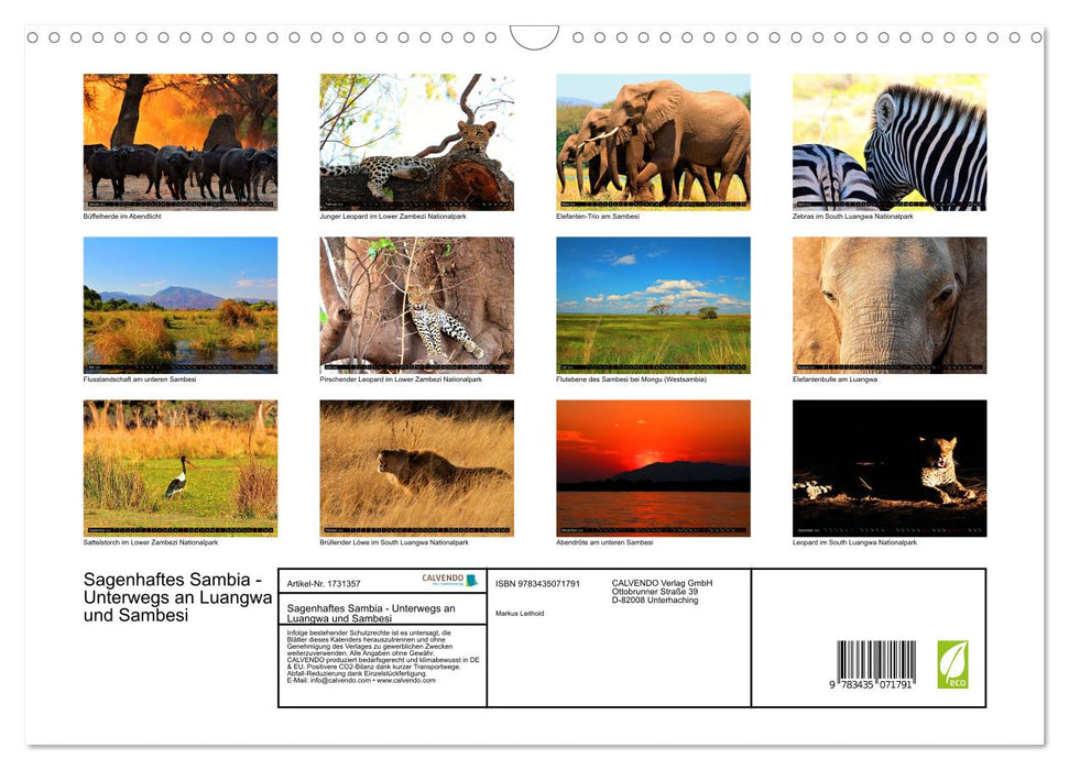 Sagenhaftes Sambia - Unterwegs an Luangwa und Sambesi (CALVENDO Wandkalender 2025)