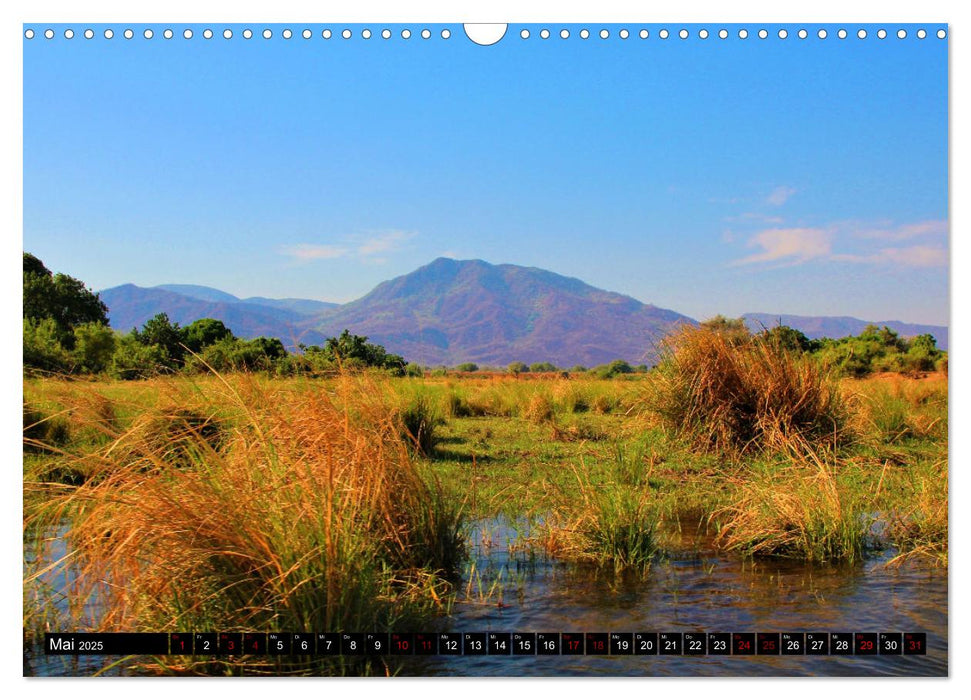 Sagenhaftes Sambia - Unterwegs an Luangwa und Sambesi (CALVENDO Wandkalender 2025)