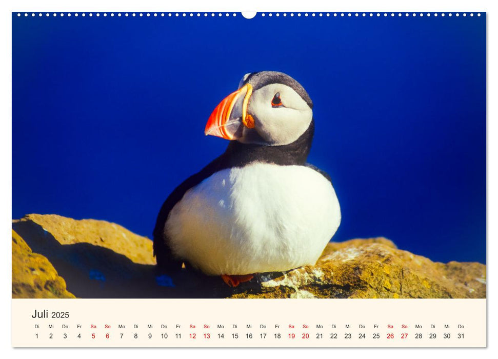 Sehnsucht nach Island (CALVENDO Premium Wandkalender 2025)