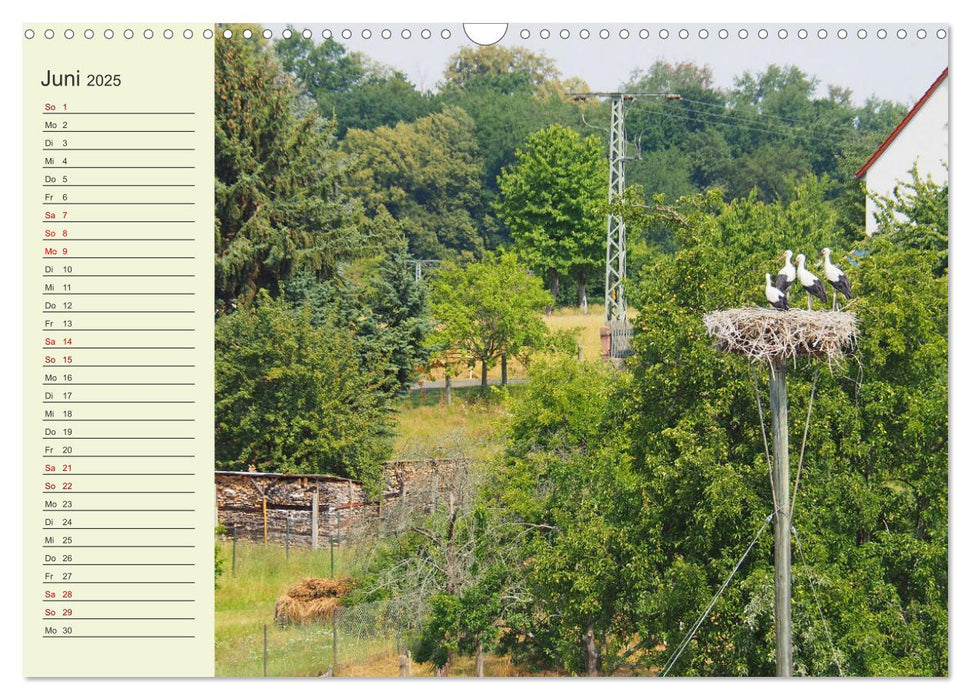 Ländliche Idylle zwischen Erzgebirge und Muldental (CALVENDO Wandkalender 2025)