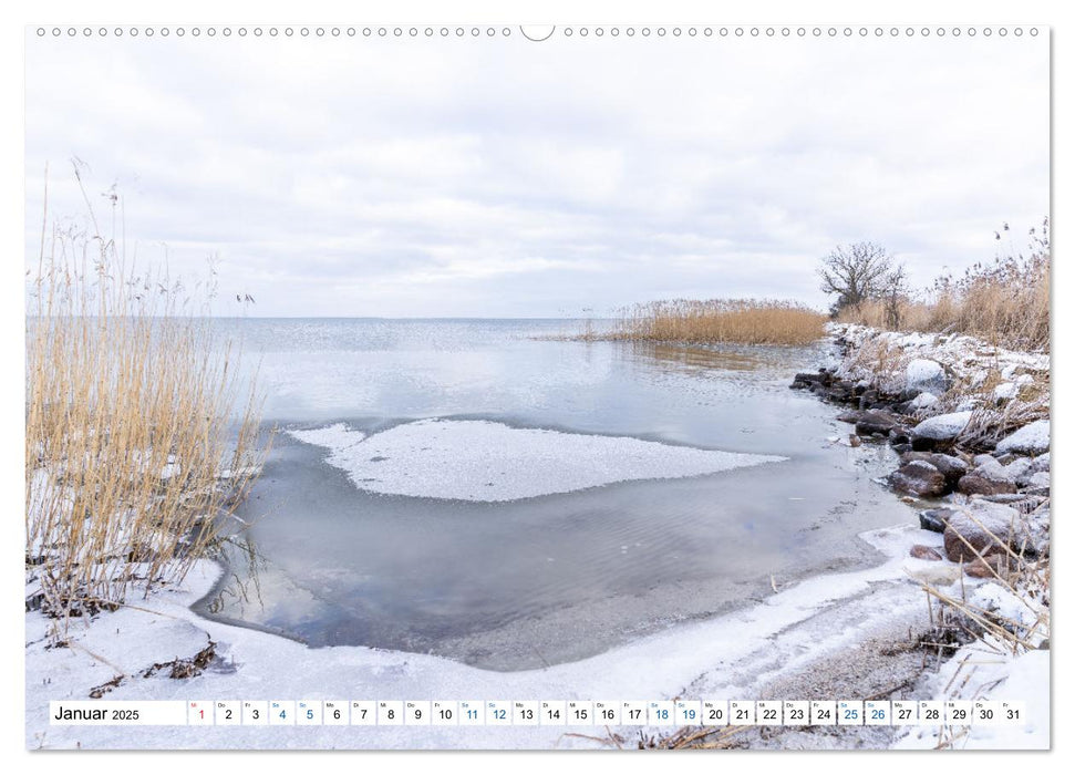 Impressionen von der Haffküste (CALVENDO Premium Wandkalender 2025)