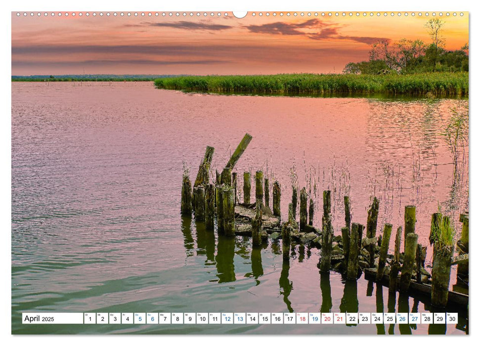 Impressionen von der Haffküste (CALVENDO Premium Wandkalender 2025)